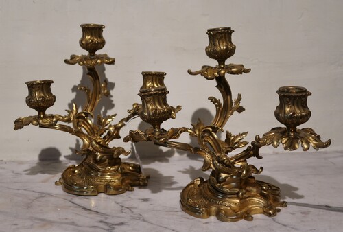 Pair of Louis XV Style Tree-branch Candelholders 