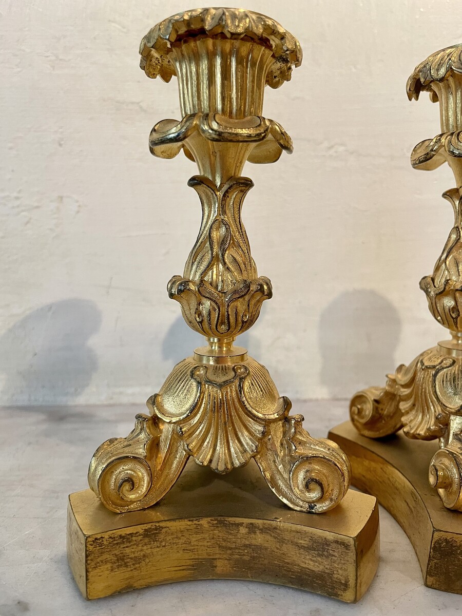 Pair of small candlesticks with vegetal and shell decoration